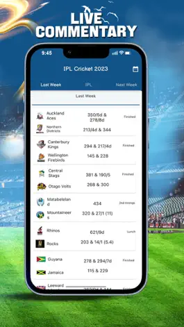 Game screenshot IPL Cricket 2023 hack
