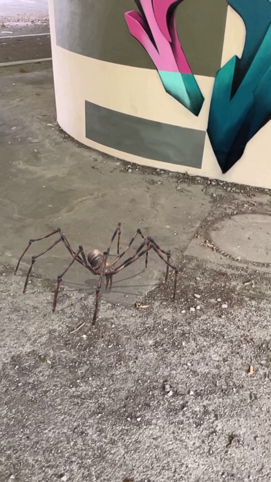 AR Spiders Screenshot