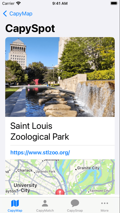 CapyNow Screenshot