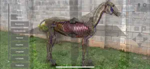 3D Horse Anatomy Software screenshot #11 for iPhone