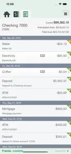 Bank of Canton Business screenshot #5 for iPhone