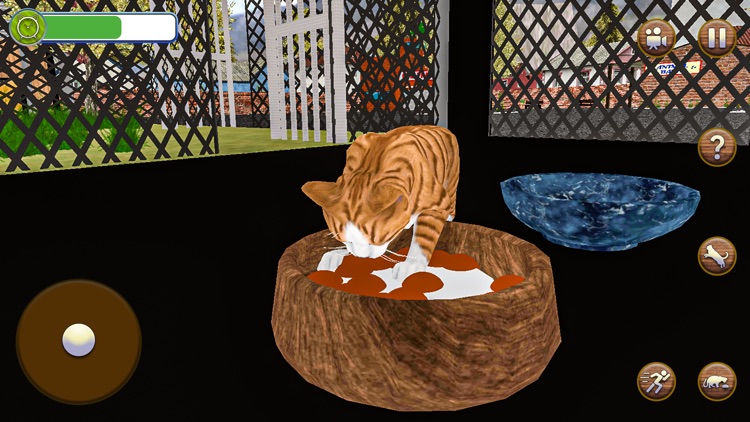 Animal Shelter Pet Cat Games screenshot-4