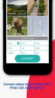 mp3 converter, audio converter iphone screenshot 1