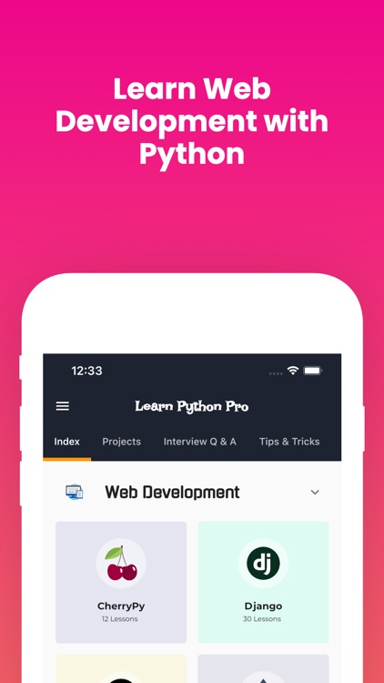 Learn Python Programming [Pro]