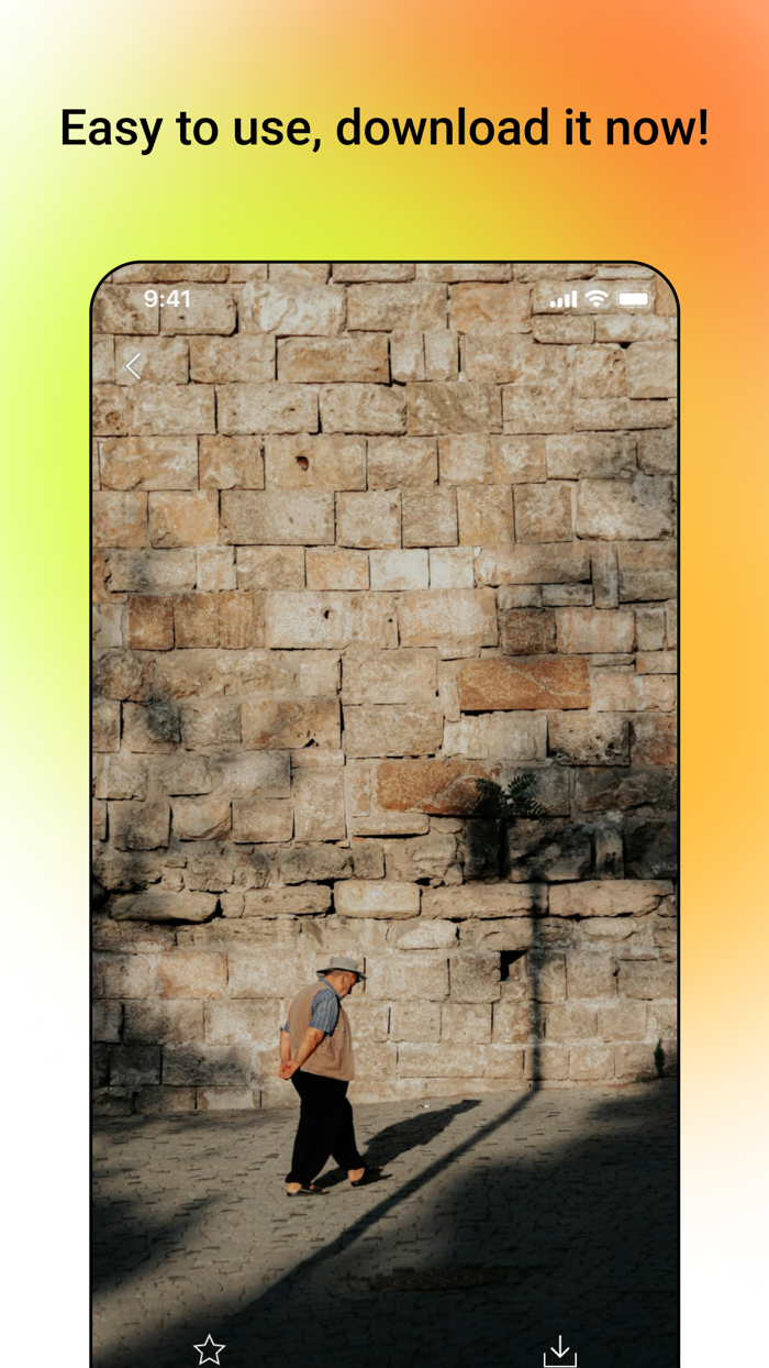 Zora Wallpaper HD 4K