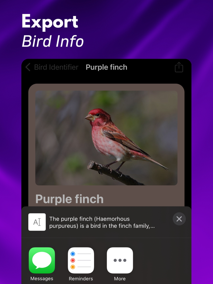 Bird ID Identify Birds