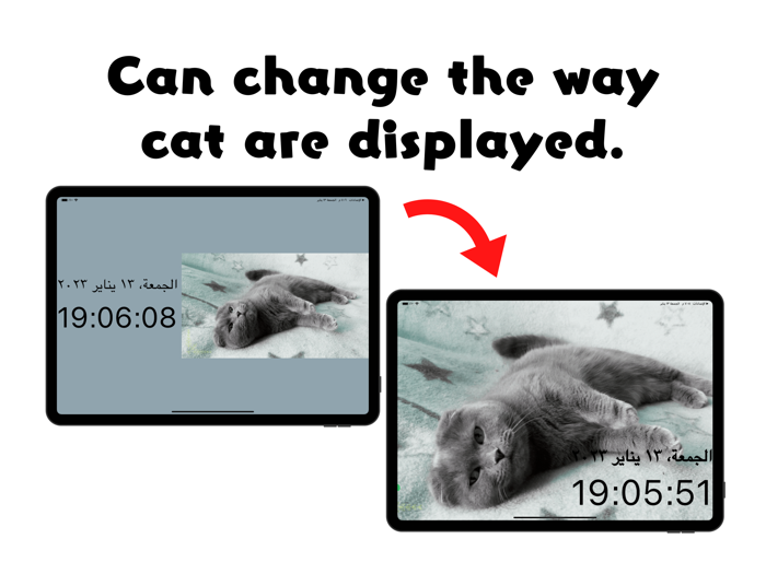Cat Clock App Pro.No Ads