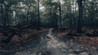 The Holyburn Witches Screenshot