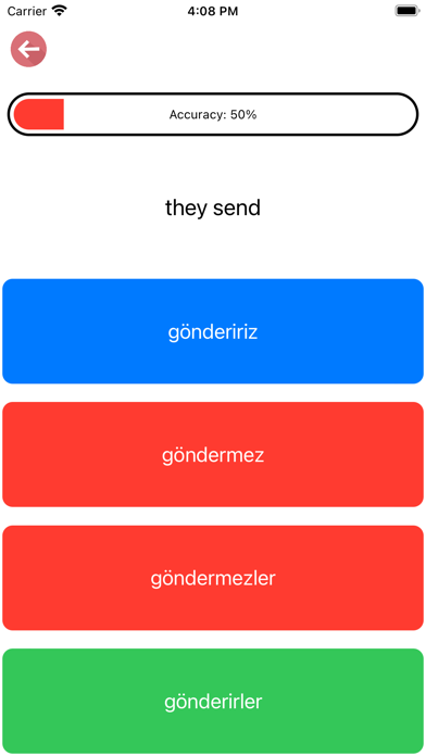 Turkish Verb Blitz Screenshot