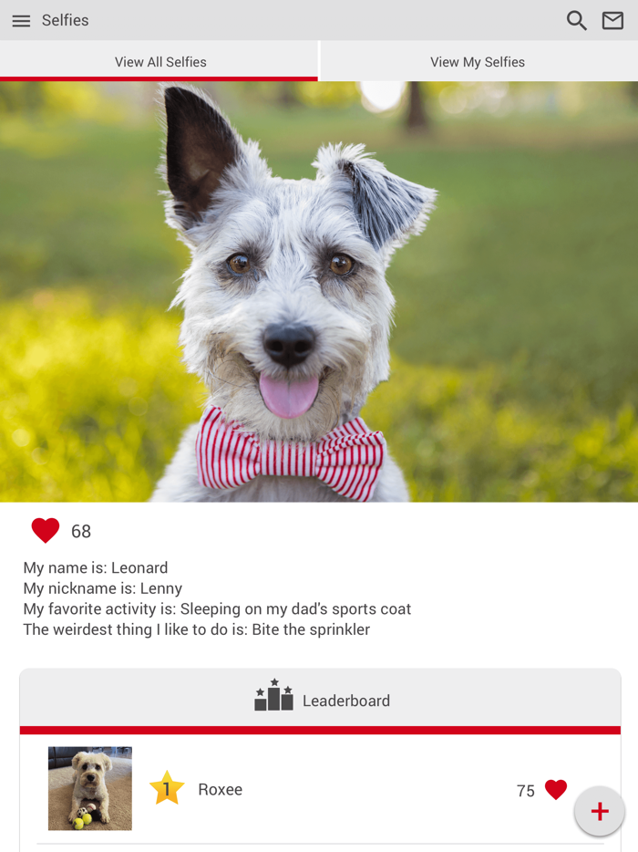 Panhandle Veterinary Services