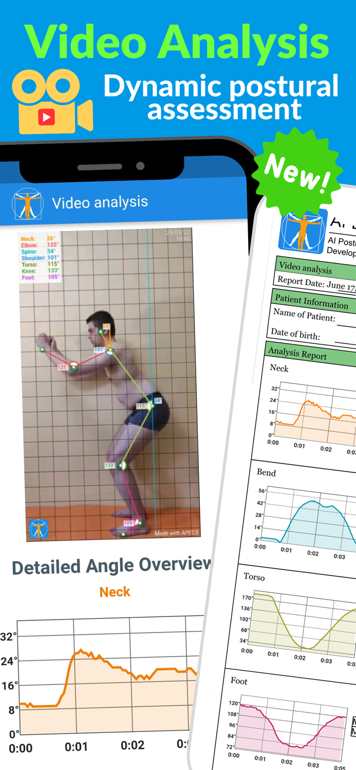 APECS AI Posture Evaluation