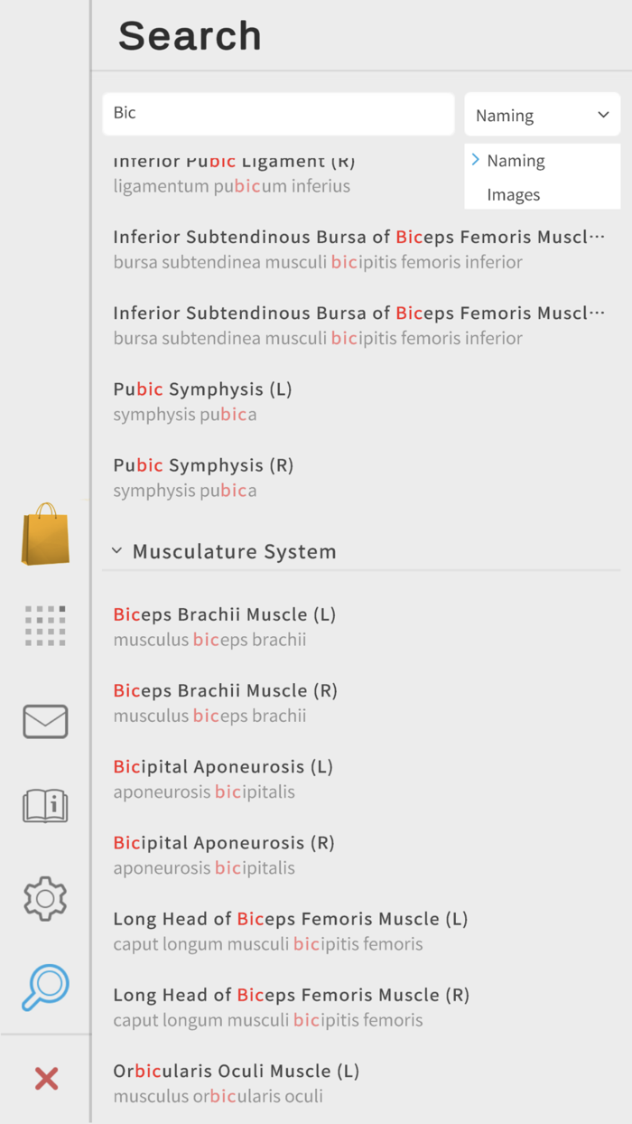 Visual Anatomy 3D - Human