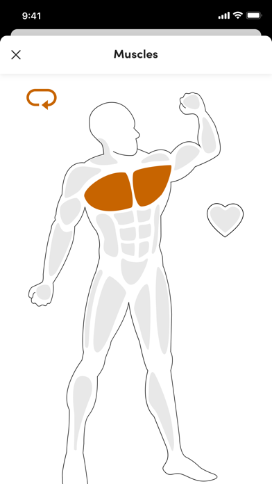 LB Fitness Screenshot