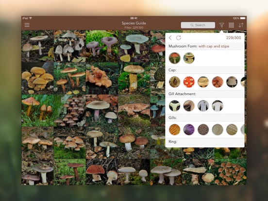 Mushrooms PRO - Hunting Safe iPad app afbeelding 2