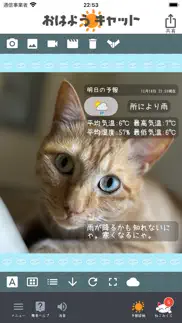おはようキャット - 天気予報 iphone screenshot 2