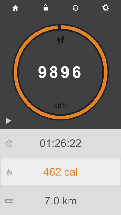 365 Pedometer Screenshot