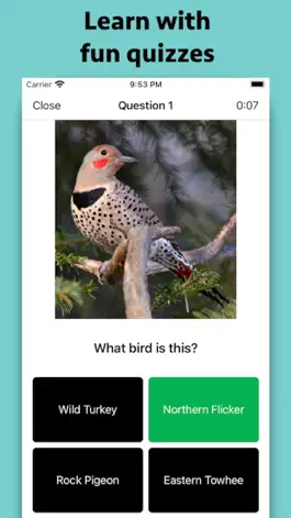Game screenshot Smart Bird ID apk