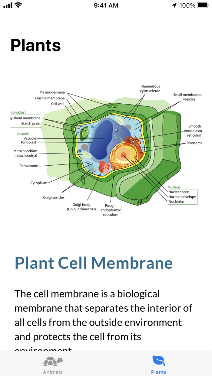 Cell Structure