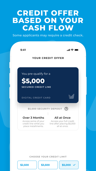 Grain: The Digital Credit Card Screenshot