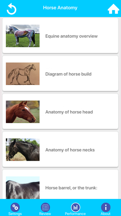 Screenshot #2 pour Learn Horse Knowledge