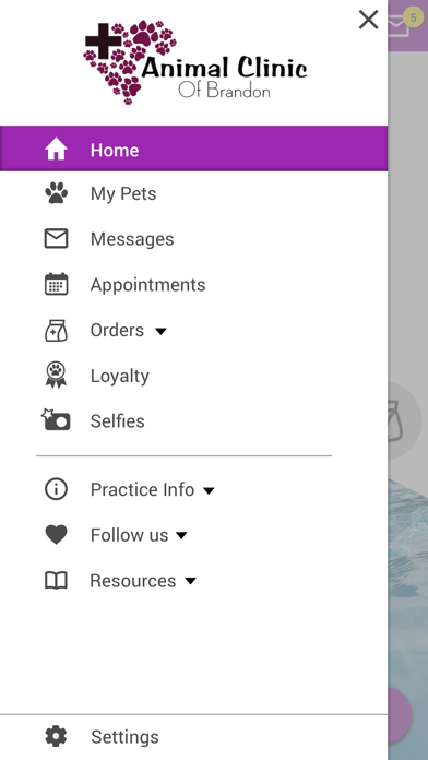 Animal Clinic of Brandon Screenshot