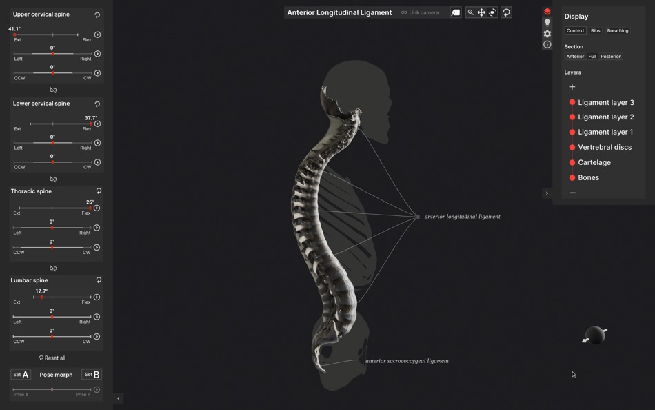 #5. Biomechanics of the Spine (macOS) Podle: Anatomy Standard