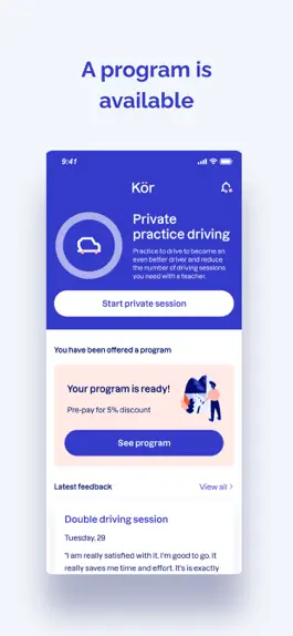 Game screenshot Kör - Get your Drivers License apk
