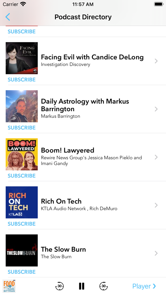 #4. SkipCast: Podcast Player (iOS) 由: Matthew Grdinic