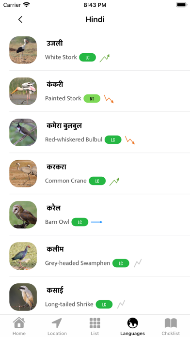 Indian Birds Screenshot