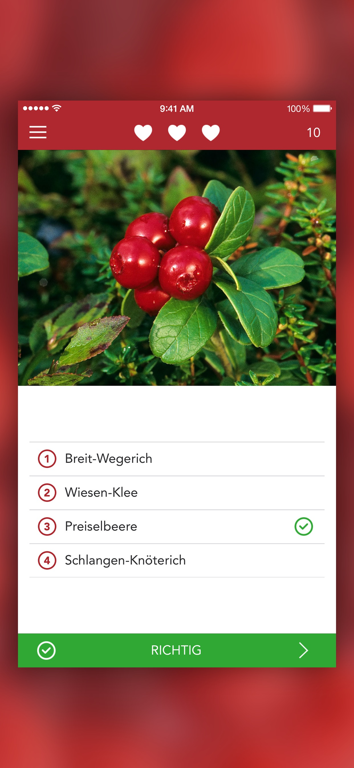 Wilde Beeren und Kräuter 2 PRO