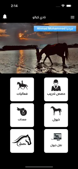 Game screenshot Caballo Stable mod apk