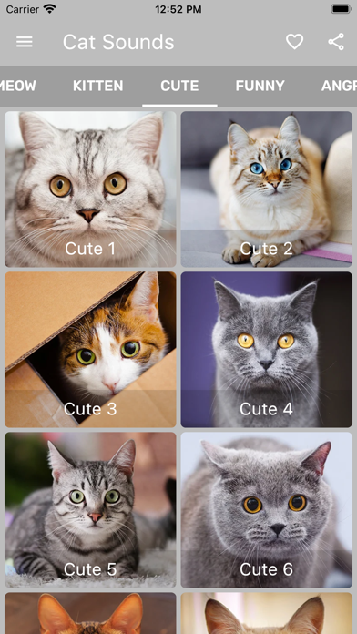 Cat Sounds - Meow Soundboard Screenshot