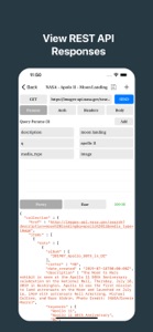 REST API Client screenshot #3 for iPhone