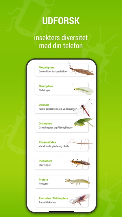 Bugdex DK screenshot-3