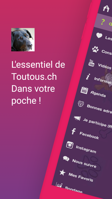 Toutous.ch Screenshot