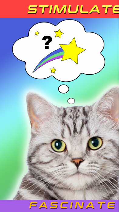 Magic Kitty Sitter Screenshot
