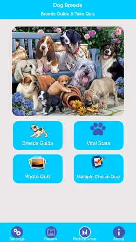 Game screenshot Dog Breeds Guide & Quiz mod apk