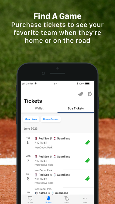 MLB Ballpark Screenshot
