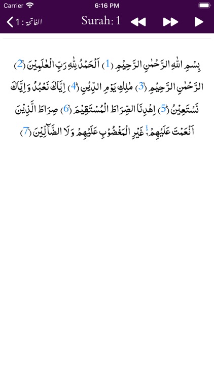 Mufradat ul Quran | Tafseer screenshot-7