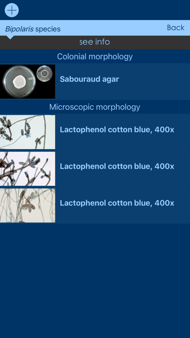 Mycology Image Atlas Screenshot