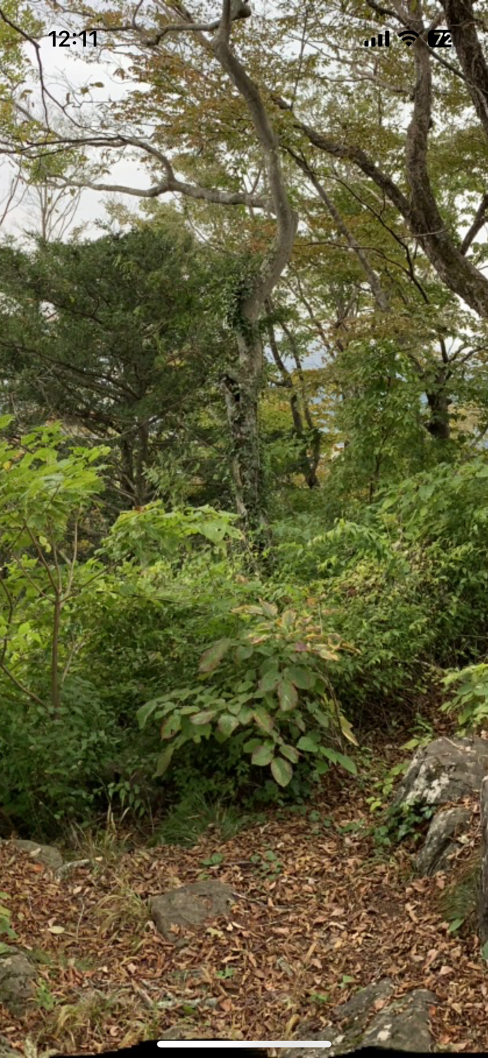 PanoraView Panorama photo