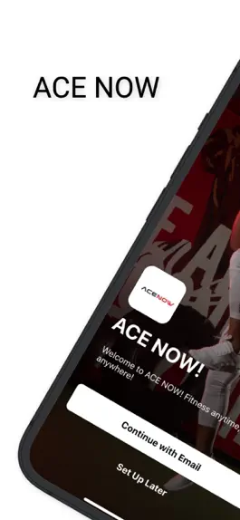 Game screenshot ACE NOW! mod apk