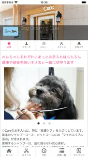 dog grooming cure iphone screenshot 1