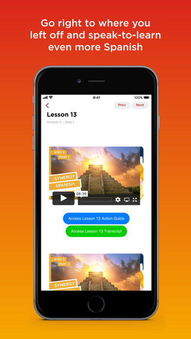 Synergy Spanish Systems Screenshot
