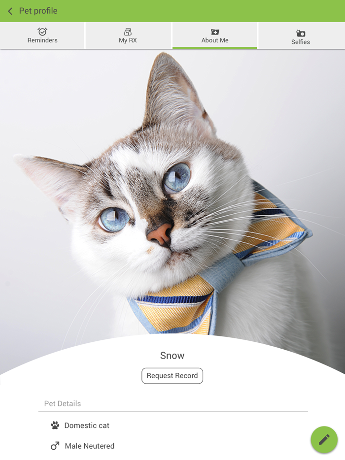 Feline Vet Med Center