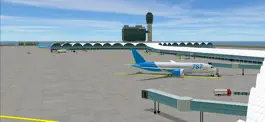 Game screenshot Airport Madness 3D 2 hack