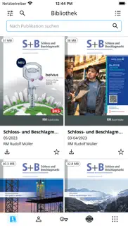 schloss- und beschlagmarkt problems & solutions and troubleshooting guide - 1