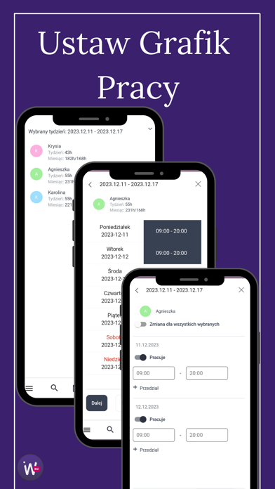 Wpadaj.pl Biznes Screenshot