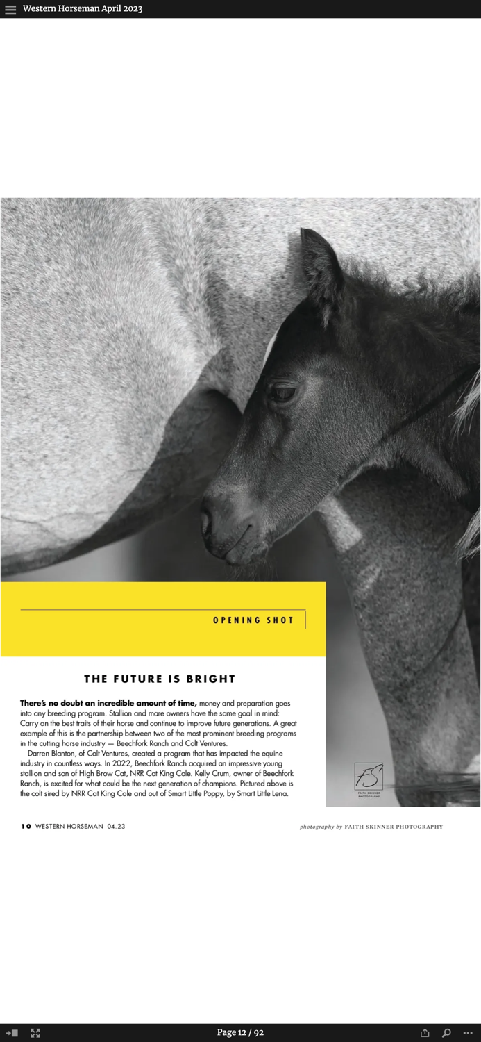 Western Horseman Magazine