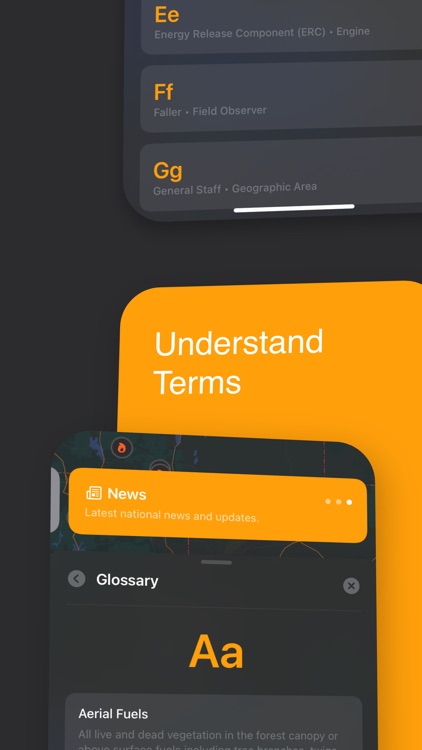 Blaze: Wildfires screenshot-3